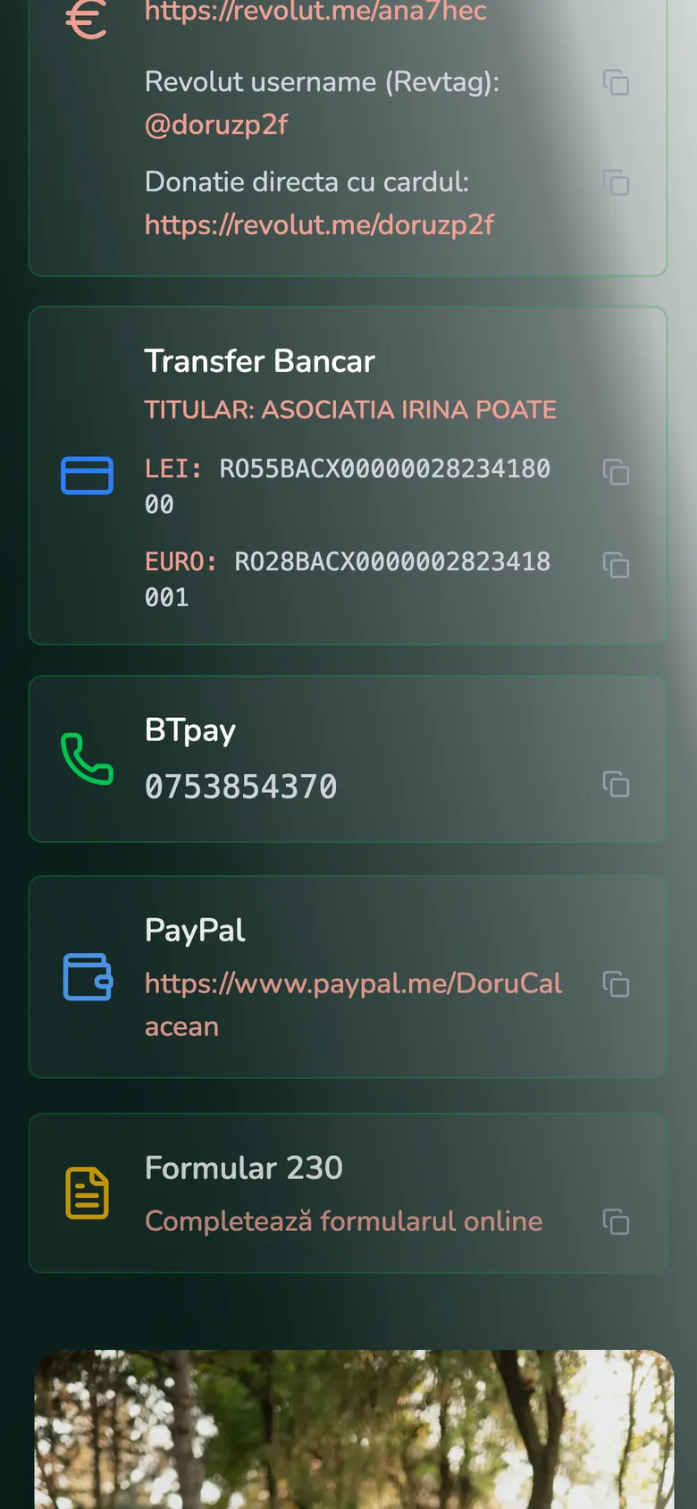 Secțiunea Cum poți ajuta pe telefon, cu datele pentru Revolut, transfer bancar, BTpay și PayPal pe fundal verde închis
